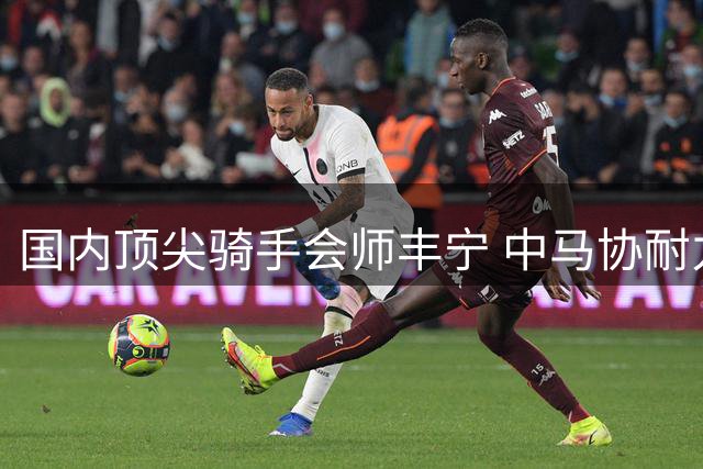 国内顶尖骑手会师丰宁 中马协耐力达标赛点燃草原马术热潮