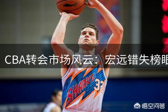 CBA转会市场风云：宏远错失榜眼签 杜锋之子试训辽篮引热议